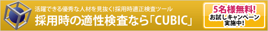 ����ł���D�G�Ȑl�ނ��������̗p���K�������c�[���B�̗p���̓K�������Ȃ�uCUBIC�v