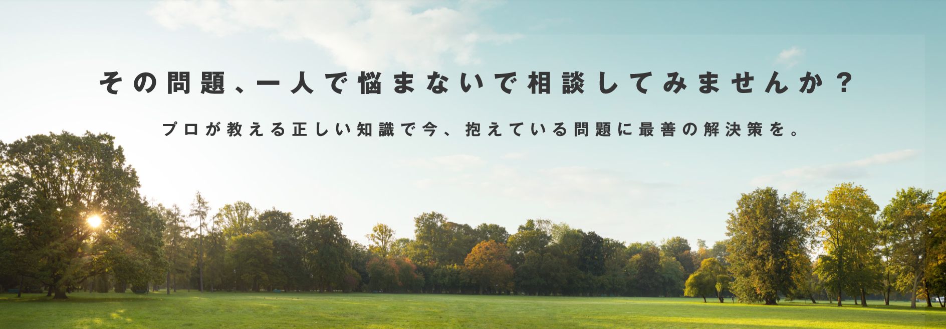 弁護士法人ひばり法律事務所